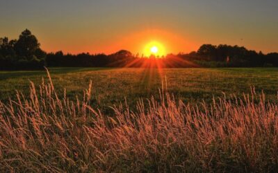 The Best Benefits Of Sunlight